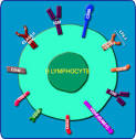 BioCarta - Charting Pathways of Life