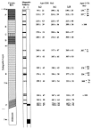 ScienceDirect.com - Radiation Measurements - Electron spin