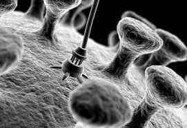 Nanotech -the key to  future in disease management