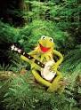 It's Easy Being Green with Focus SIS