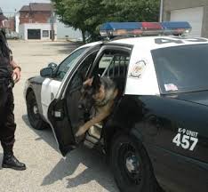 external image images?q=tbn:ANd9GcRLcgOJR4nWKuV0nVeKw5TsunYFQNXt3C6elash3JTK6nFwVICO4w