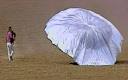 Balloon boy: parents of Falcon Heene took lie detector test ...