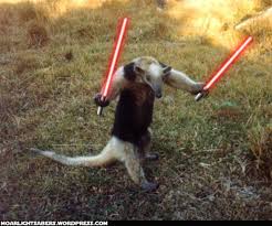 external image images?q=tbn:ANd9GcRLs7MCaK8LKhzghCu5MeluIE7-yLX-uFoj28JBhmdkbn2erXkz