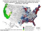 LYME DISEASE Advice and Information