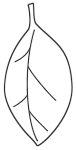 Leaves coloring page