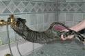 The Infinite Cat Project - Cat Tales - How to Not Bathe Your Cat