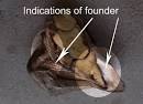 Founder in Horses – The Spring Time Scourge | Horseman Magazine