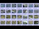 RODNEY KING BEATING HELPED DRIVE VIDEO REVOLUTION - Worldnews.
