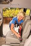 About Bark Buckle UP® « Bark Buckle UP