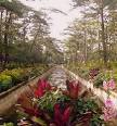 Go Baguio! Your Complete Guide to Baguio City, Philippines