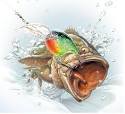 Download bass fishing tips