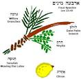 Hebrew Glossary - L
