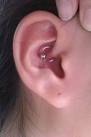 Daith piercing! | Tribalectic