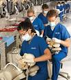 Dental Hygienist Schools Prepare You For a Rewarding Career ... 