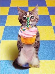 http://t3.gstatic.com/images?q=tbn:ANd9GcRNMIsOSHDp7Fsi2MP7KCZir24qBXv0P_v8Q8Ky0bZWNo809F_F