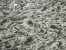 ST5939 : Glastonbury festival 2007. near to Pilton, Somerset, Great Britain - via Daymix