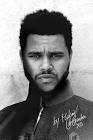 tags: abel abel tesfaye the