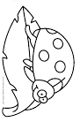 Bug coloring page