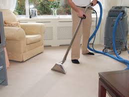  Best Carpet Cleaner