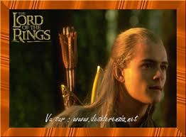 Afficher l'image d'origine