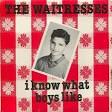 The Waitresses - The Songs