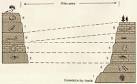 Faunal Succession : How Geologists Tell Time : Teacher Resources