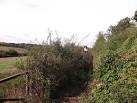 As seen from Jackass Lane. Three girls were riding their horses down a - via Daymix