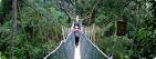 Costa Rica Vacations, Vacation Packages, Costa Rica Tours, Travel