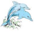 Dolphin Tattoo Designs | Latest Fashion of Tattoos Jeans Levis ...