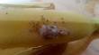 Natural Gas Gains Squeeze Family-Run Oil Firms - ABC News
