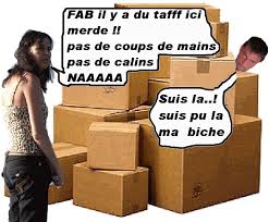 external image images?q=tbn:ANd9GcRPEAUcCyuSEpMxvPZO_JKD0YlrWo9McsjHiWAbso2h3o52CPFtVg