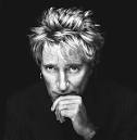 ROD STEWART CONCERT DVDS / CDS