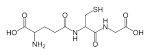 Glutathione