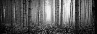 You Want Large Art Prints? - Fotoviva Art Prints