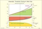 Anaerobic threshold 1 | The Guy Anthony Show | www.
