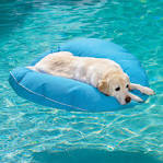 Dog Pool Float - The Green Head