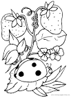 Ladybug coloring page