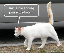 Obrazek