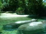 Toledo Zoo - Hippoquarium » Toledo Zoo Gallery