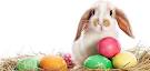 Easter Egg Hunts! - The Cape Cod Mom