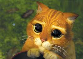 http://t3.gstatic.com/images?q=tbn:ANd9GcRRJSBc1vv7XQFFVvmQiQiLEZHlC1Za5c7DwVfASmsWKlx_2gNMZg