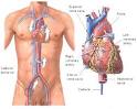 Occupational Medicine
