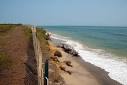 Erosion and Dying Oaks on Martha's Vineyard | American Forests