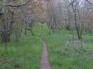 Appalachian National Scenic Trail -- Britannica Online Encyclopedia