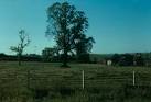 In one of the films I made I shot about a minute of film each week, - via Daymix