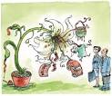 Peak Energy: Bioplastic - Better Living Through Green Chemistry ?