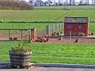 Free range hens at Knowes Farm near East Linton. - via Daymix