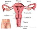 Birth Control and Family Planning Female Sterilization - Birth ...