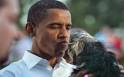 Mitt Romney took his dog on