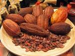 Nigerian Cocoa Farmers Band Together for Better Prices « Agri-News ...